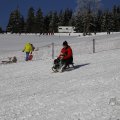 IMG_1498603