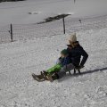 IMG_1498607