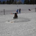 IMG_1498639