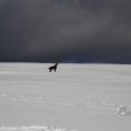 IMG_1498711