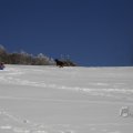 IMG_1498720
