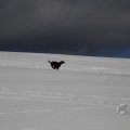 IMG_1498721