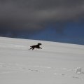 IMG_1498722