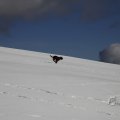 IMG_1498723