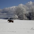 IMG_1498732
