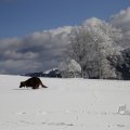 IMG_1498733