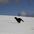 IMG_1498734