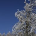 IMG_1498744
