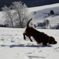 IMG_1498746
