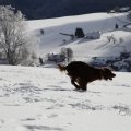 IMG_1498747