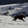 IMG_1498748