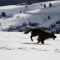 IMG_1498749
