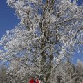 IMG_1498750