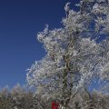 IMG_1498751