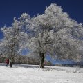 IMG_1498753