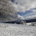 IMG_1498754