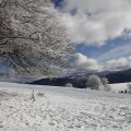 IMG_1498755
