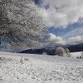 IMG_1498756