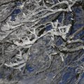 IMG_1498757