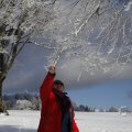 IMG_1498760