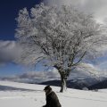 IMG_1498773