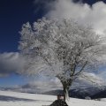 IMG_1498775