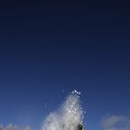 IMG_1498817