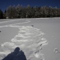 IMG_1498824