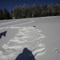 IMG_1498825