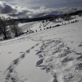 IMG_1498835