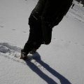 IMG_1498838