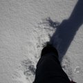 IMG_1498839
