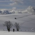 IMG_1498847