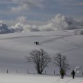 IMG_1498848