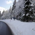 IMG_1498864