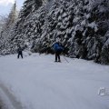 IMG_1498865