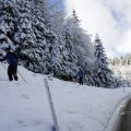 IMG_1498867