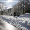 IMG_1498874