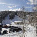 IMG_1498875