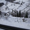 IMG_1498886