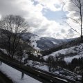IMG_1498892