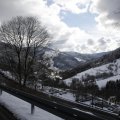 IMG_1498893