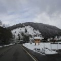 IMG_1498896