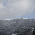 IMG_1498903