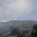 IMG_1498904