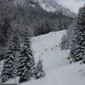 IMG_1498905