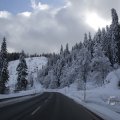 IMG_1498950