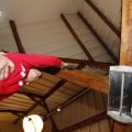 IMG_1499886