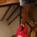 IMG_1499889