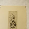 IMG_1500083